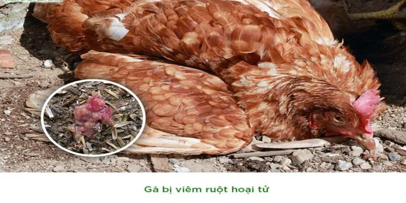 Áp dụng đúng cách giúp kiểm soát và hạn chế thiệt hại