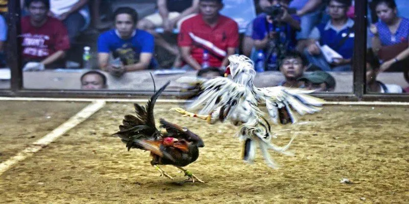 Quy định giúp duy trì trật tự, nâng cao tính chuyên nghiệp