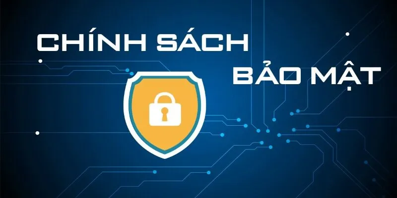 Thông tin về chủ đề chính sách bảo mật